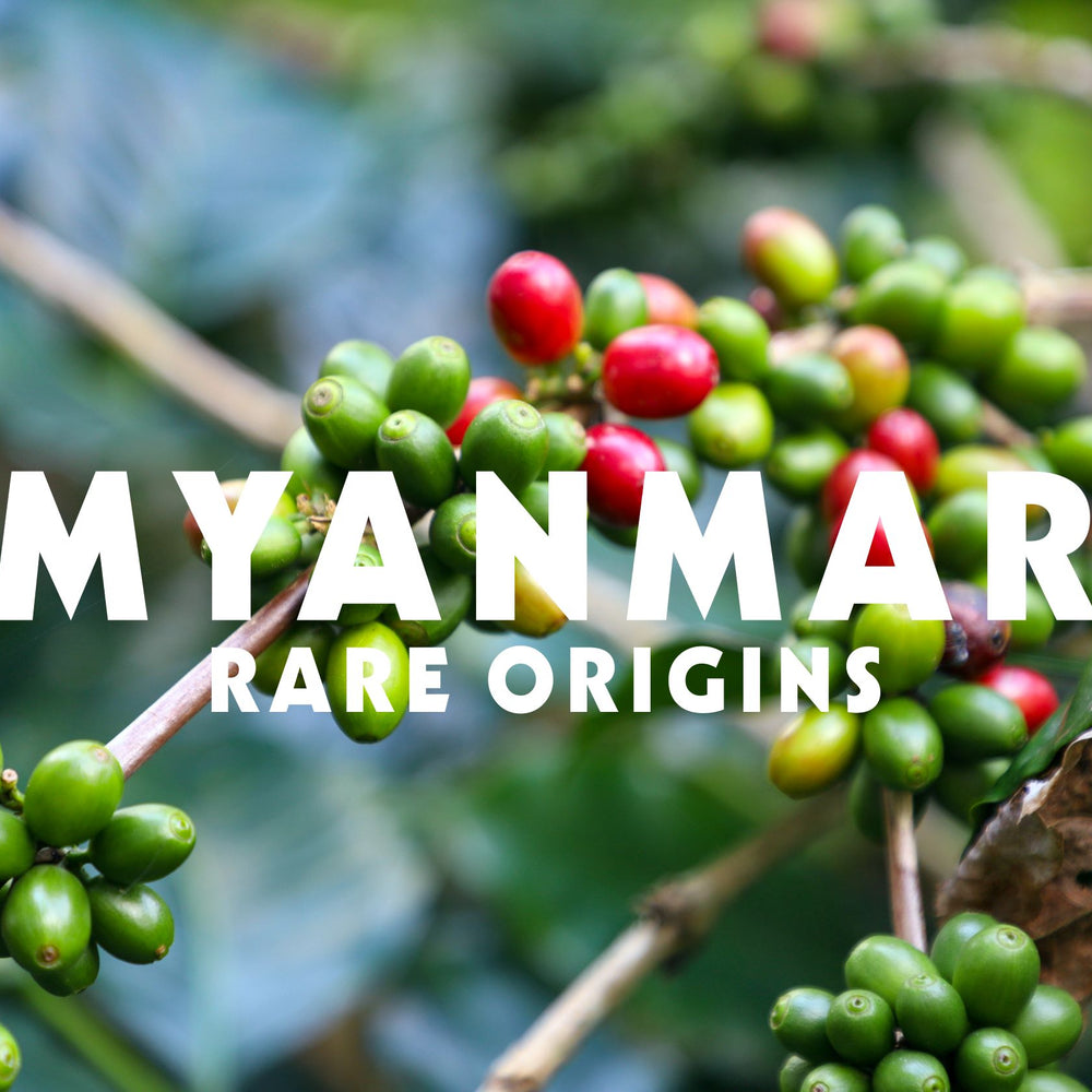 Rare Origins: Myanmar